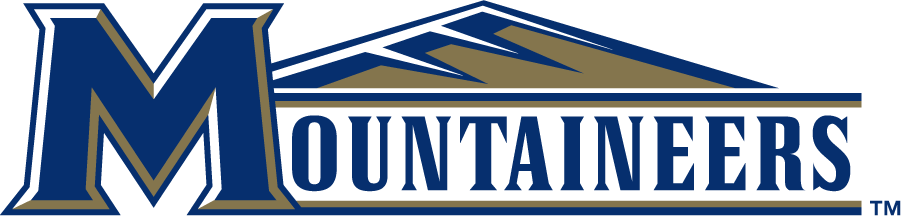 Mount St. Marys Mountaineers 2006-2016 Wordmark Logo v4 iron on transfers for clothing